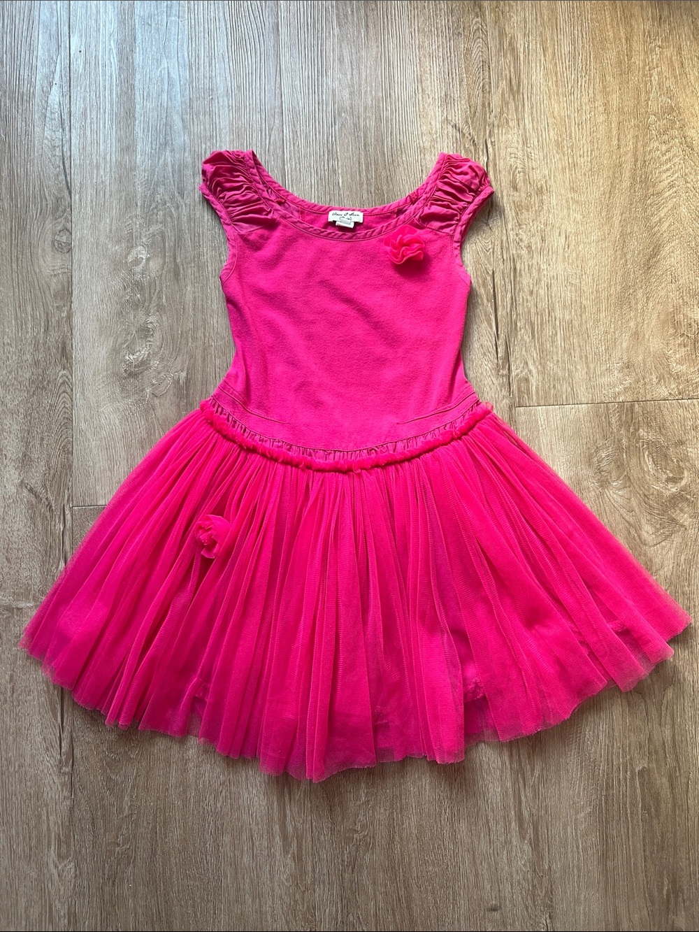 Eliana et Lena Toddler Girl Hot Pink Tulle Dress with Floral Accents Size 4